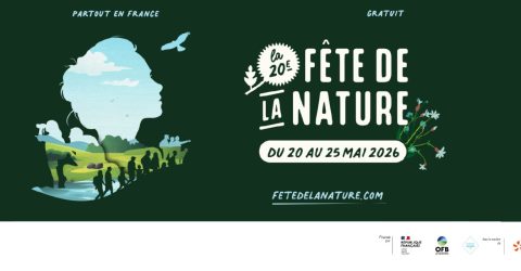 363bf400bd974d66b123586e7387108f